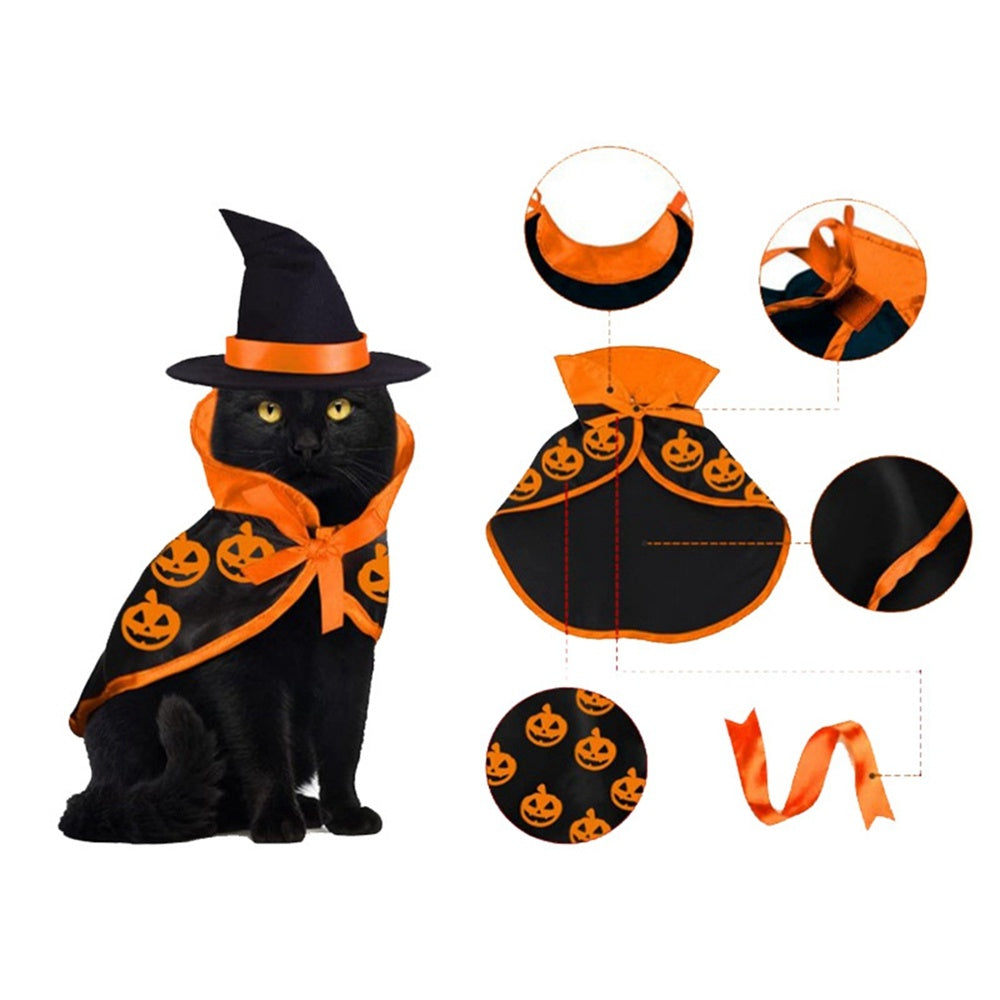 Halloween Kostüm für Katzen