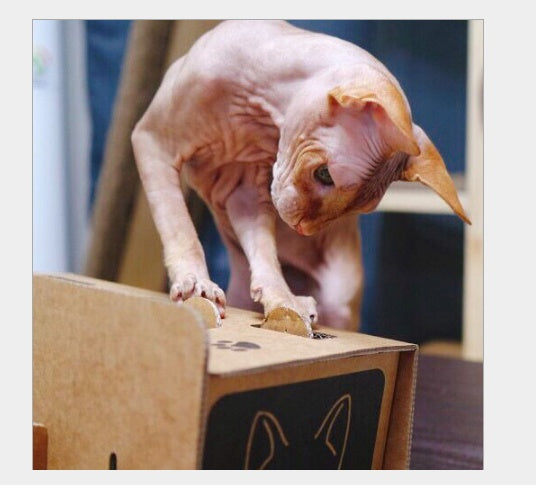 Katzen Spielbox aus Karton