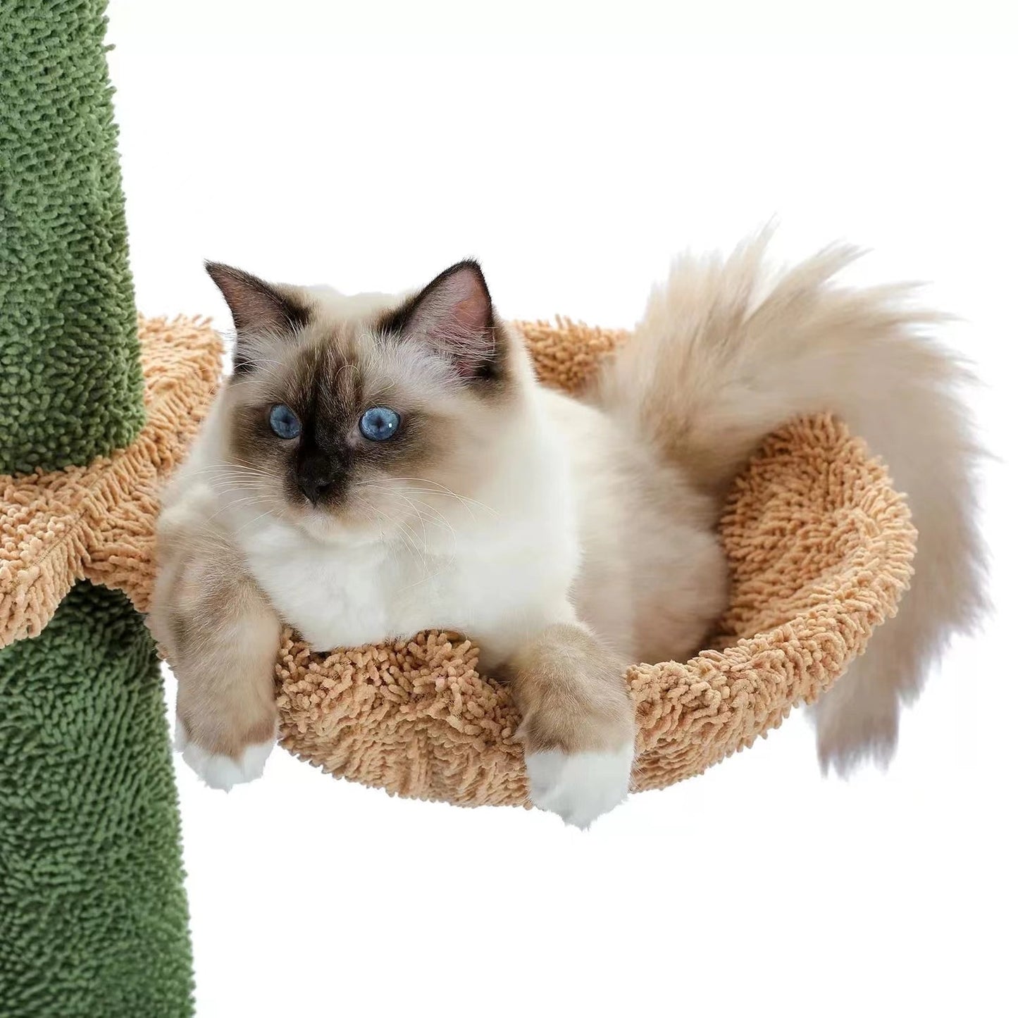 Kaktus Kratzbaum für Katzen