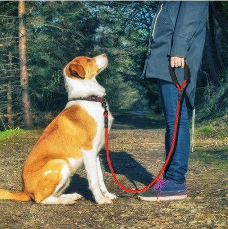 Reflektierende Leine für Hunde