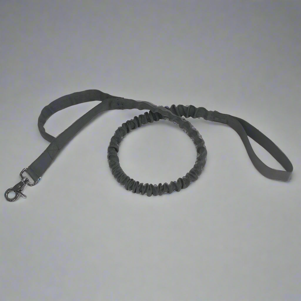 Elastische Outdoor Hundeleine