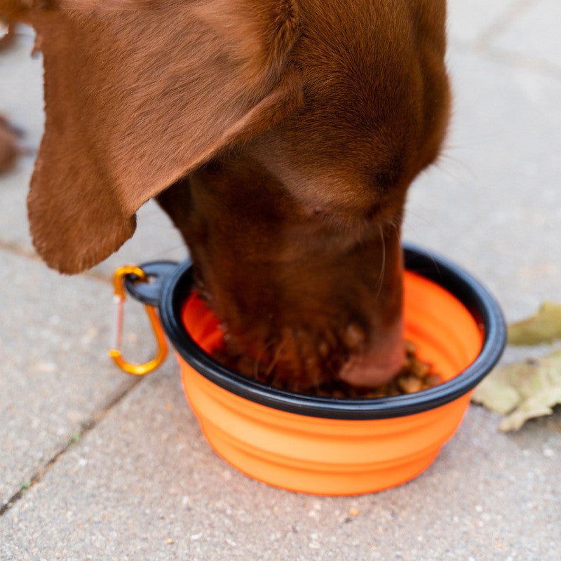 Faltbarer Outdoor-Napf mit Haken für Hunde & Katzen