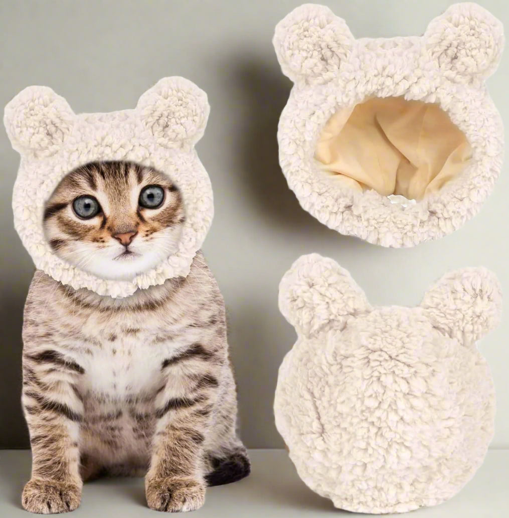 Niedliche Bärenmütze für Katzen