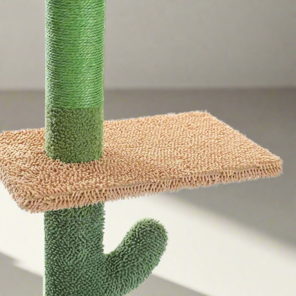 Kaktus Kratzbaum für Katzen