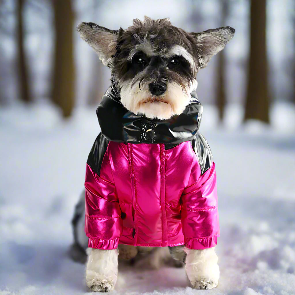 Warme Daunenjacke für Hunde