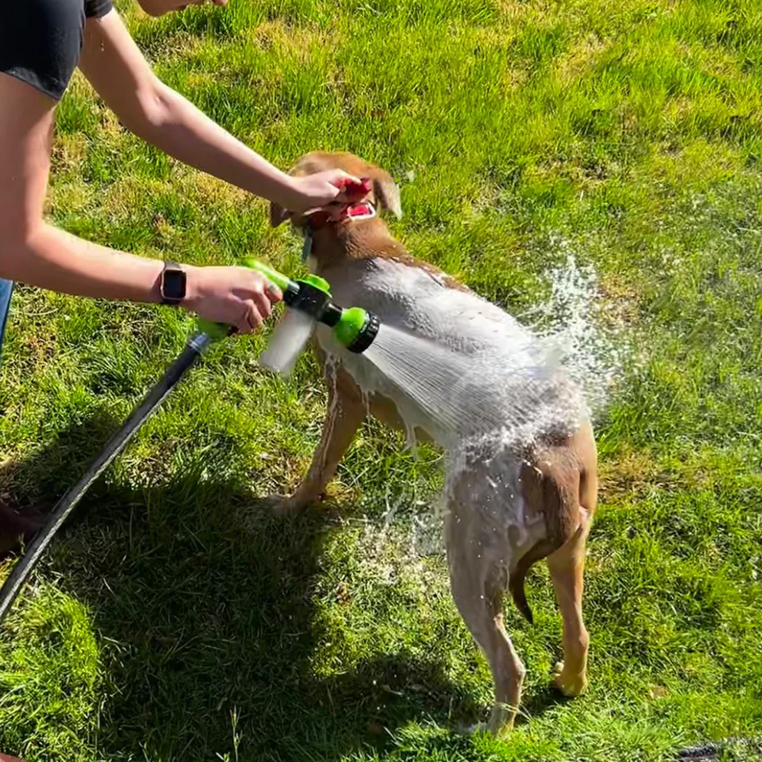 8 in 1 Hochdruckreinigungspistole mit Sprüher Bürste und Kamm für Hunde