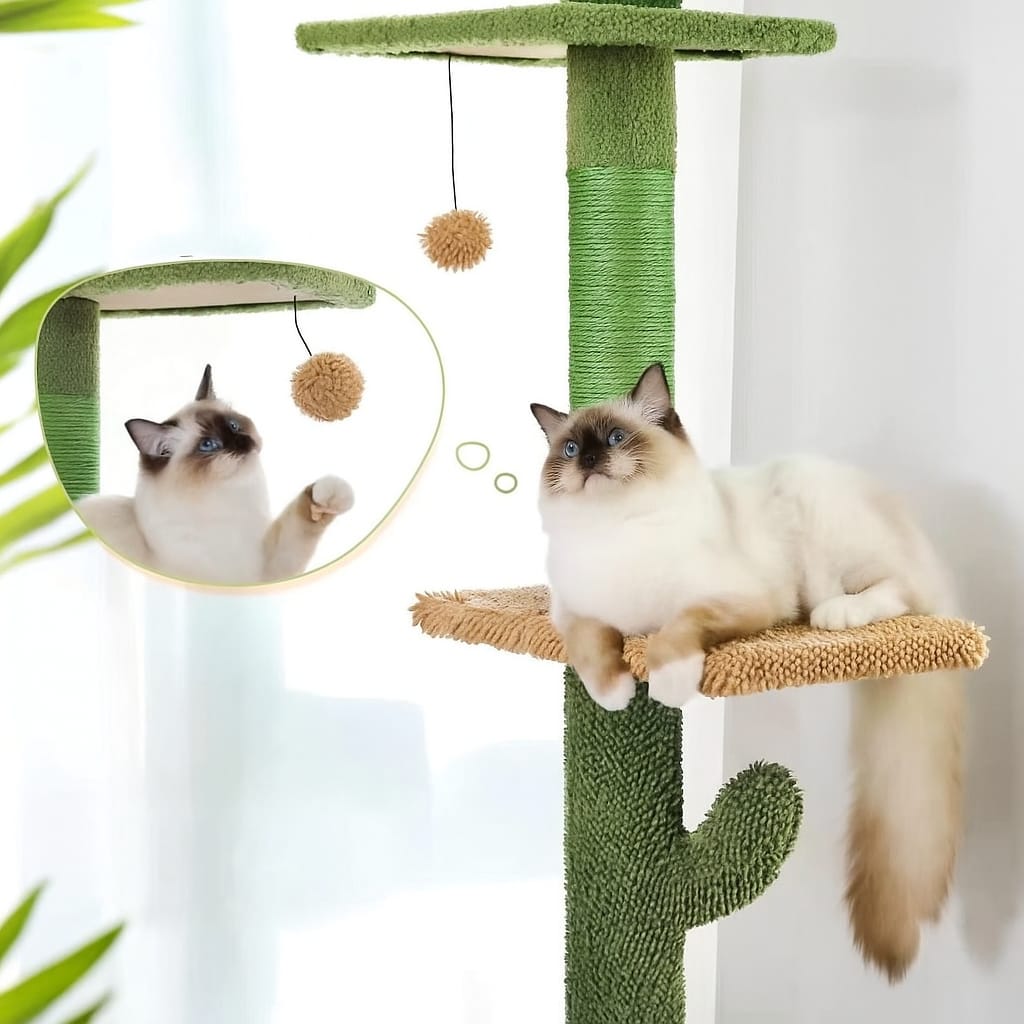 Kaktus Kratzbaum für Katzen