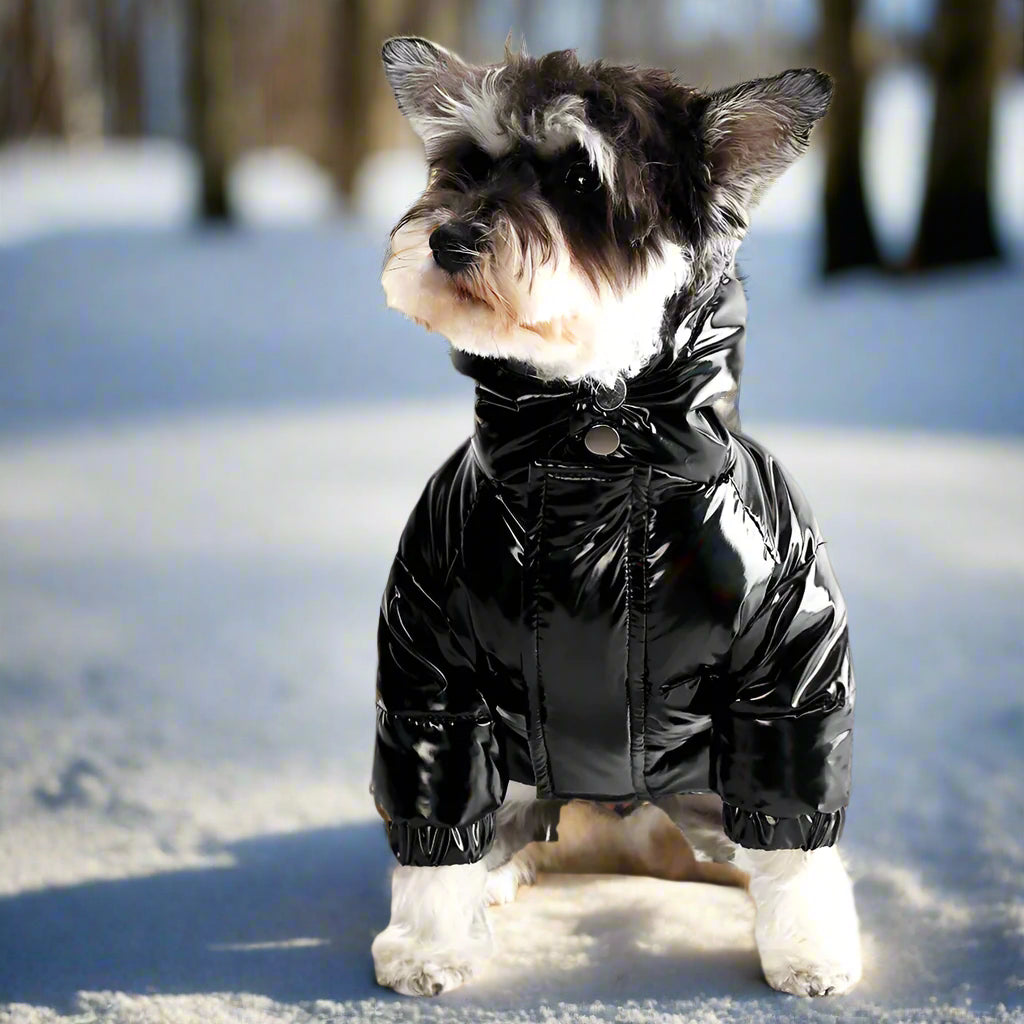 Warme Daunenjacke für Hunde