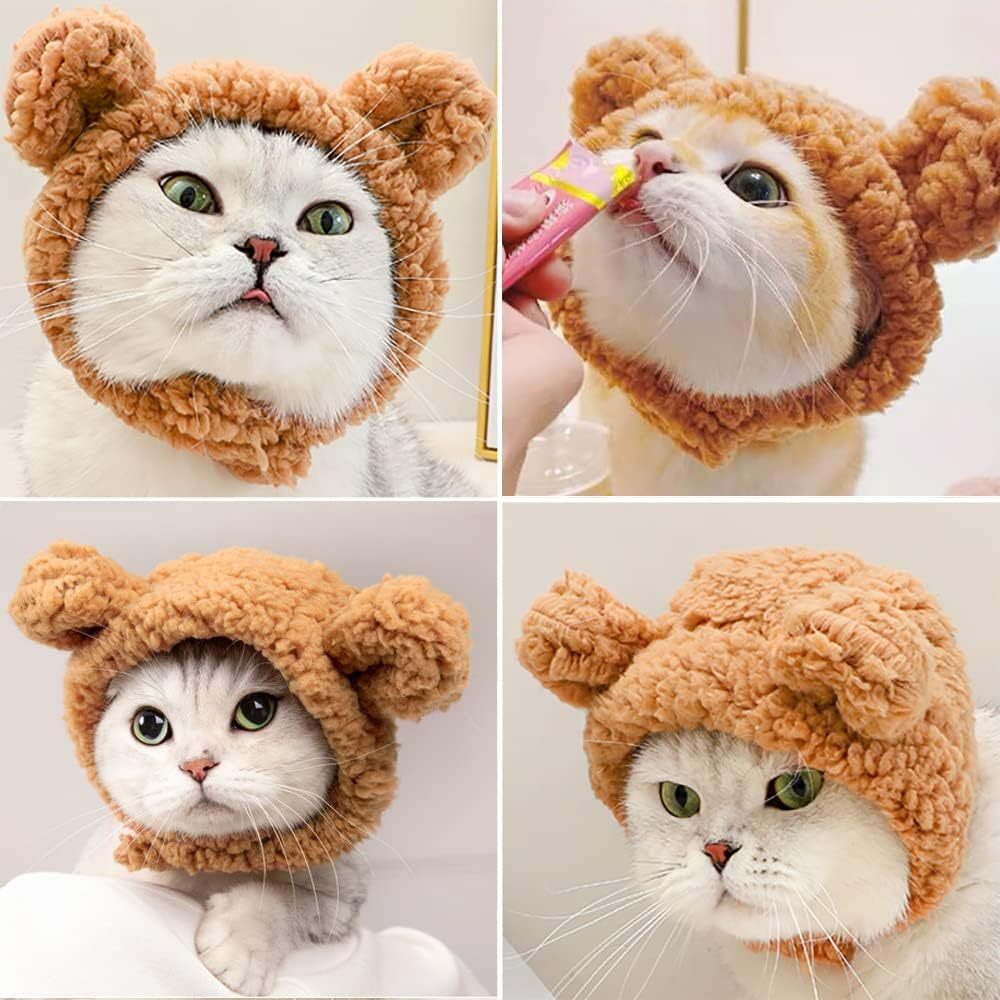Niedliche Bärenmütze für Katzen