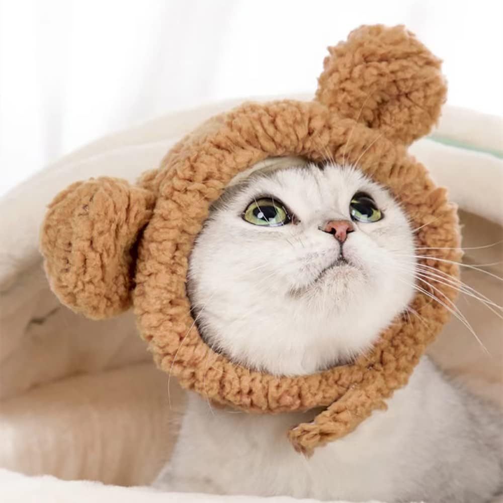 Niedliche Bärenmütze für Katzen