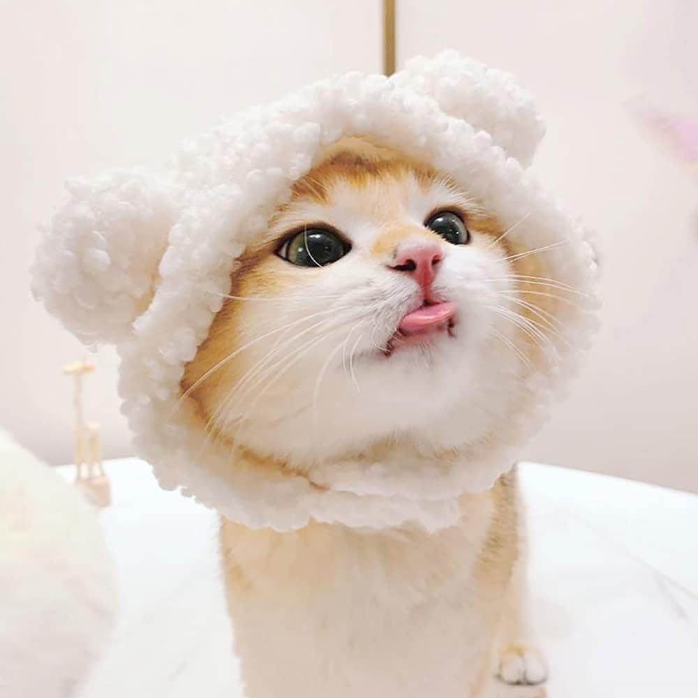 Niedliche Bärenmütze für Katzen