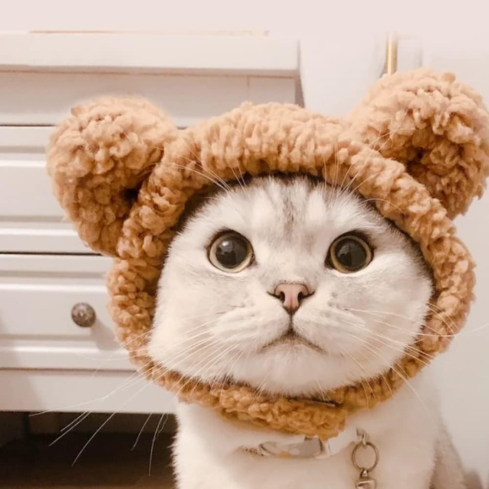Niedliche Bärenmütze für Katzen