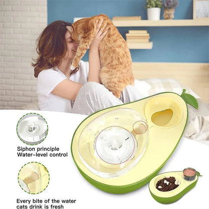 Avocado Haustiernapf Set: 2 in 1 Futternapf und Anti-schling Napf & automatischer Wasserspender für Haustiere