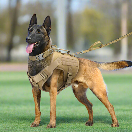 Taktisches Brustgeschirr für Hunde