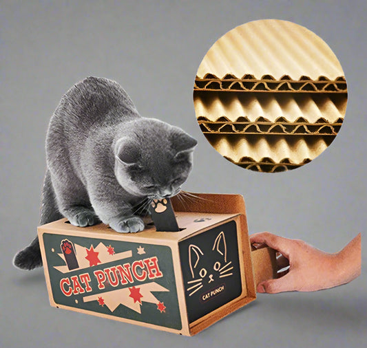 Katzen Spielbox aus Karton