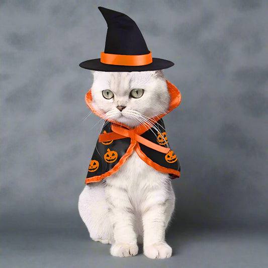 Halloween Kostüm für Katzen